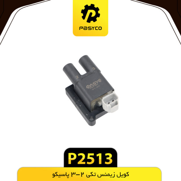 کویل زیمنس تکی 2-3 پاسیکو P2513