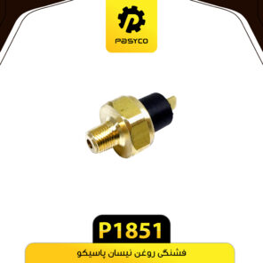 فشنگی روغن نیسان پاسیکو P1851