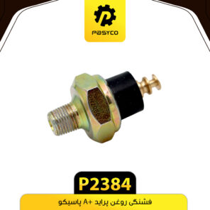 فشنگی روغن پراید A+ پاسیکو P2384