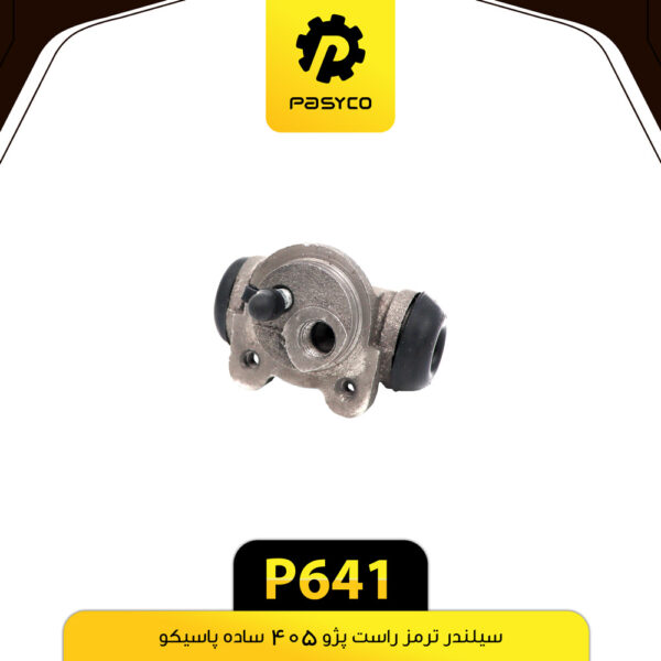 سیلندر ترمز پژو405 ساده راست پاسیکو P641