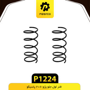 فنرلول جلو پژو 206 پاسیکو P1224 مجموعه دو عددی