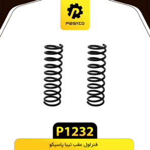 فنرلول عقب تیبا پاسیکو P1232 مجموعه دو عددی