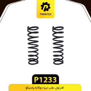 فنرلول عقب تیبا CNG پاسیکو P1233 مجموعه دو عددی