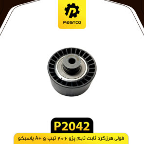فولی هرزگرد ثابت تایم پژو 206 تیپ 5 A+ پاسیکو P2042