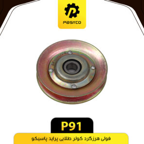 فولی هرزگرد کولر طلایی پراید پاسیکو P91